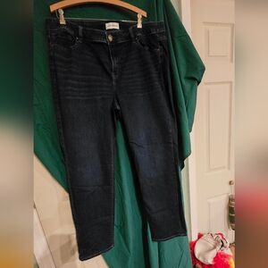Lane Bryant Jeans